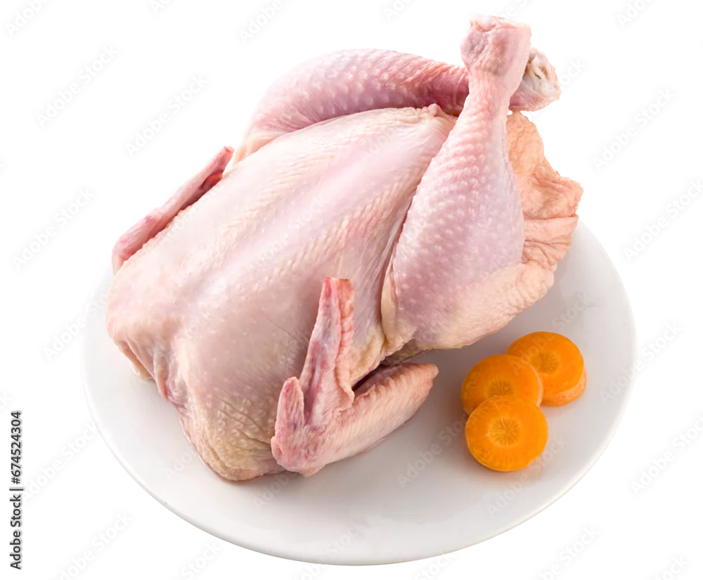 1000_F_674524304_C9XCL4sHV2Ii9YmqqY8OAkOOBUVFq9lD
